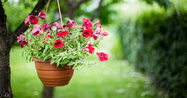 Květinové dekorace, které rozzáří váš domov